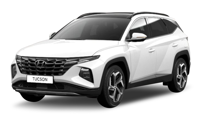 크리미 화이트 펄 익스테리어